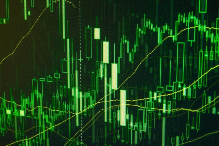 Wealth Management Portal Launched