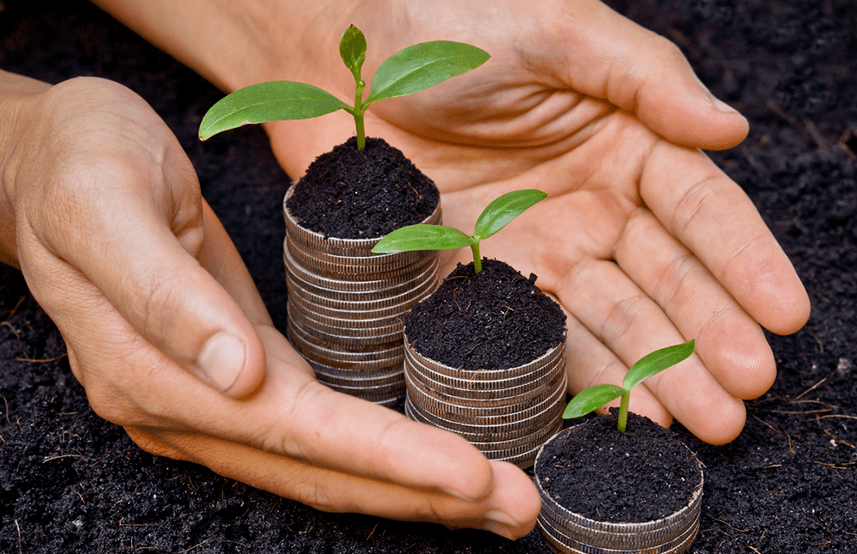 Socially Responsible Investing: The Next Big Thing?