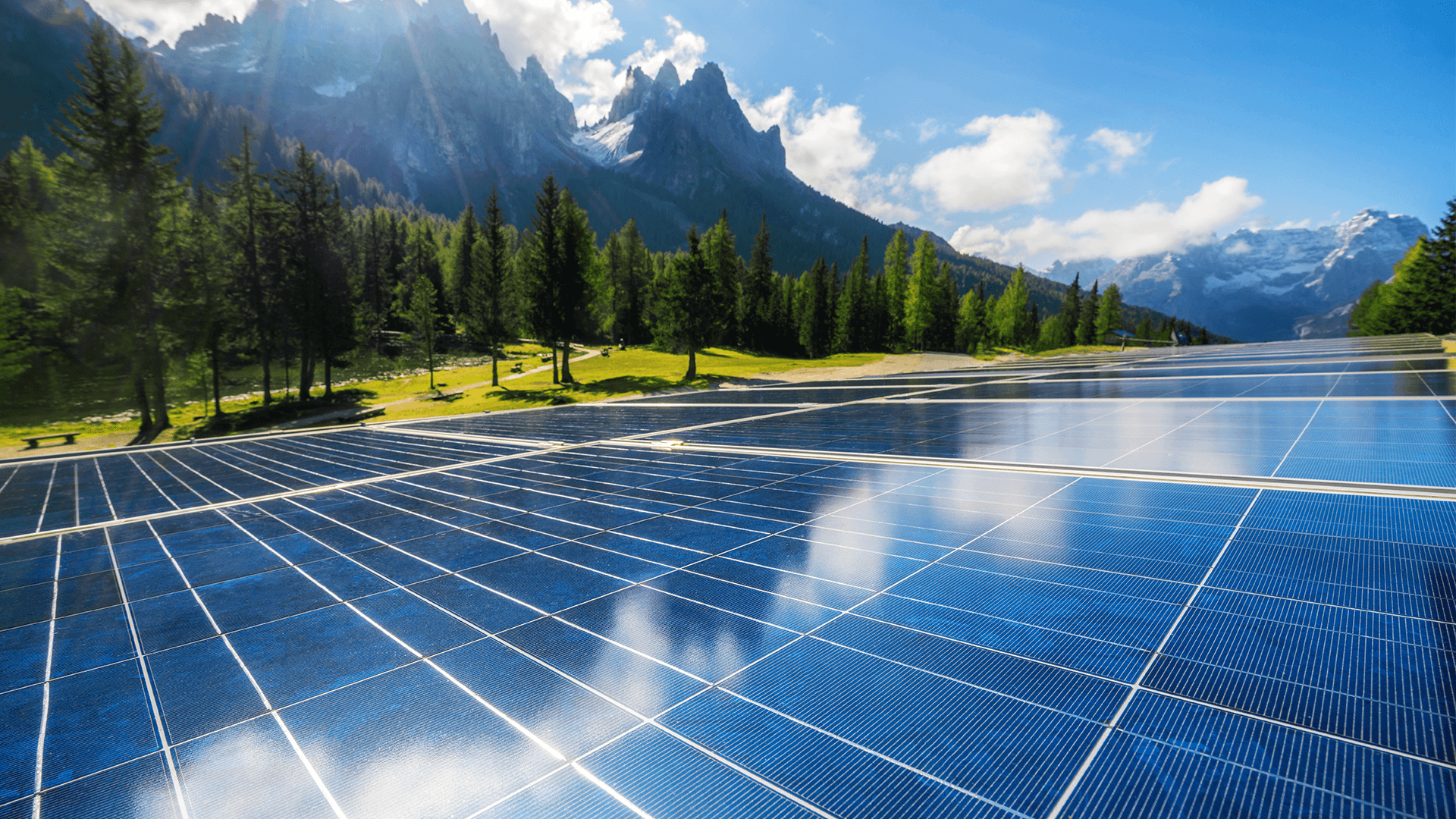 Solar power company says commercial-scale solar power will offer businesses financial rewards without feed-in tariffs