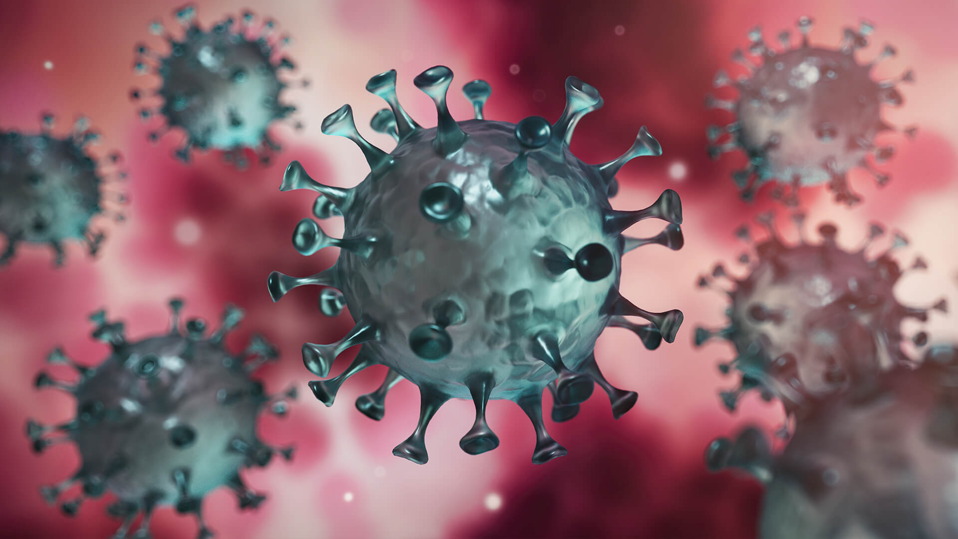 Coronavirus: Protecting Your Assets From An Epidemic