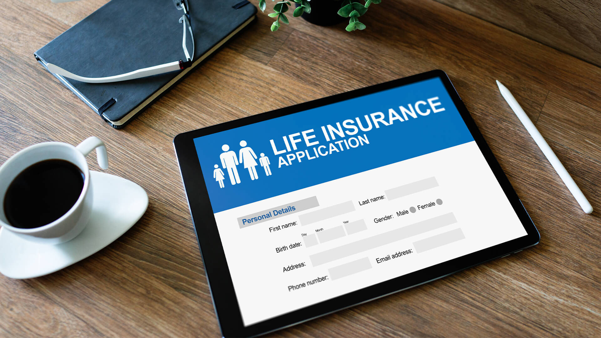 Everything You Need to Know About Life Insurance