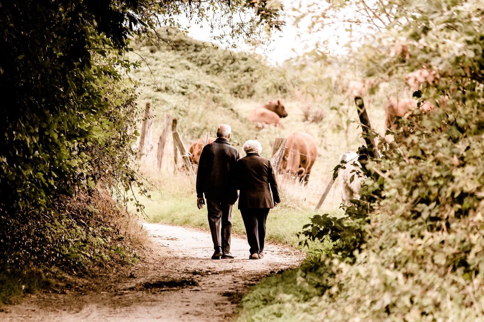 Elderly couple walking