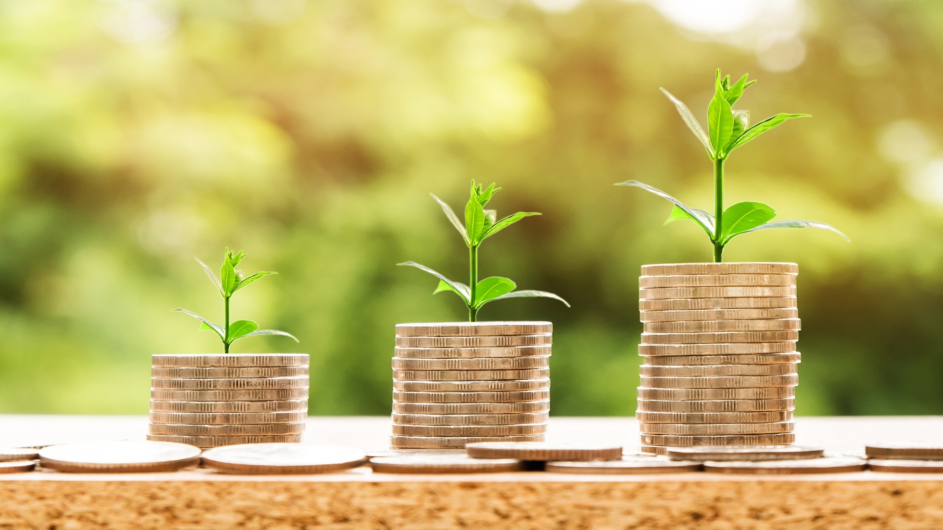 How a Sustainable Policy Can Enhance Your Business