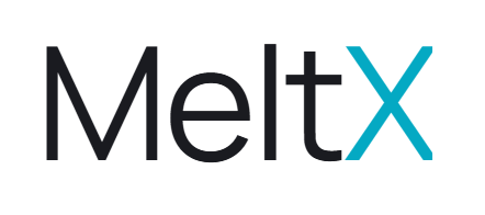 Winner small image - MeltX