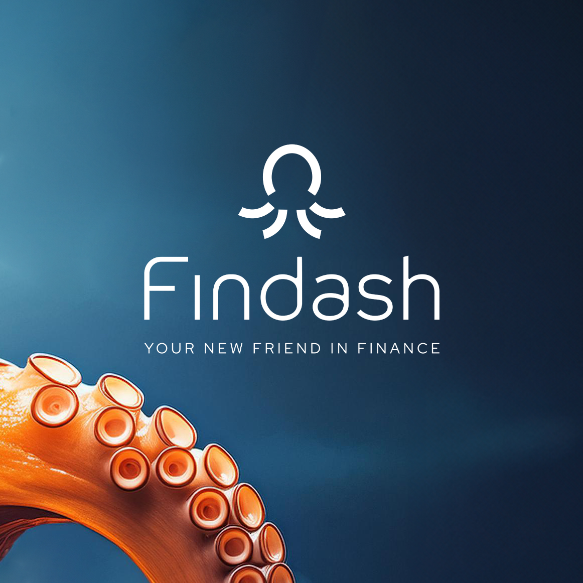 Winner small image - Findash