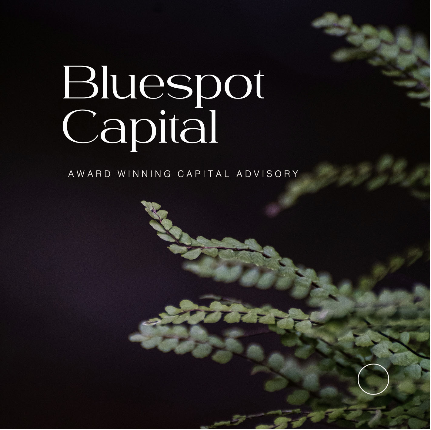 Winner small image - Bluespot Capital